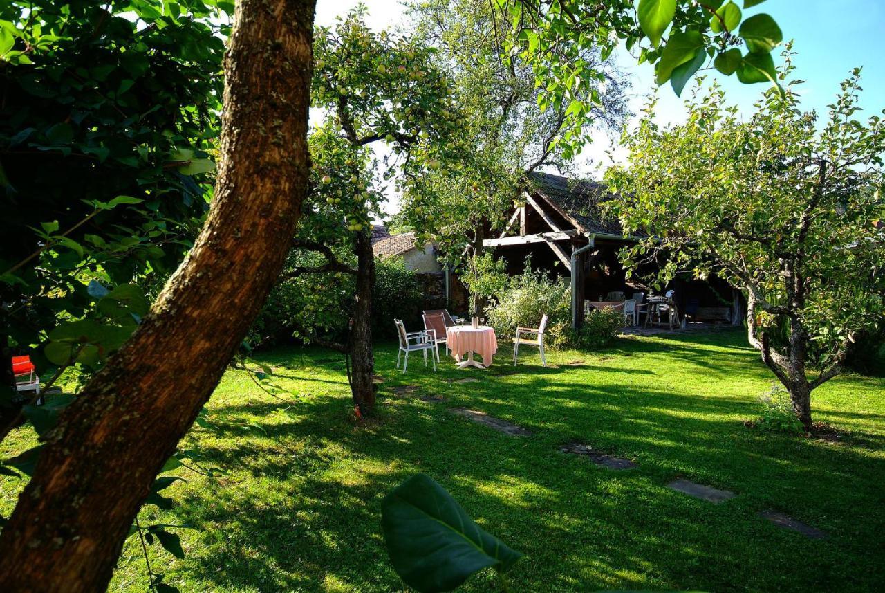 Zinck Hôtel Andlau-au-Val Buitenkant foto