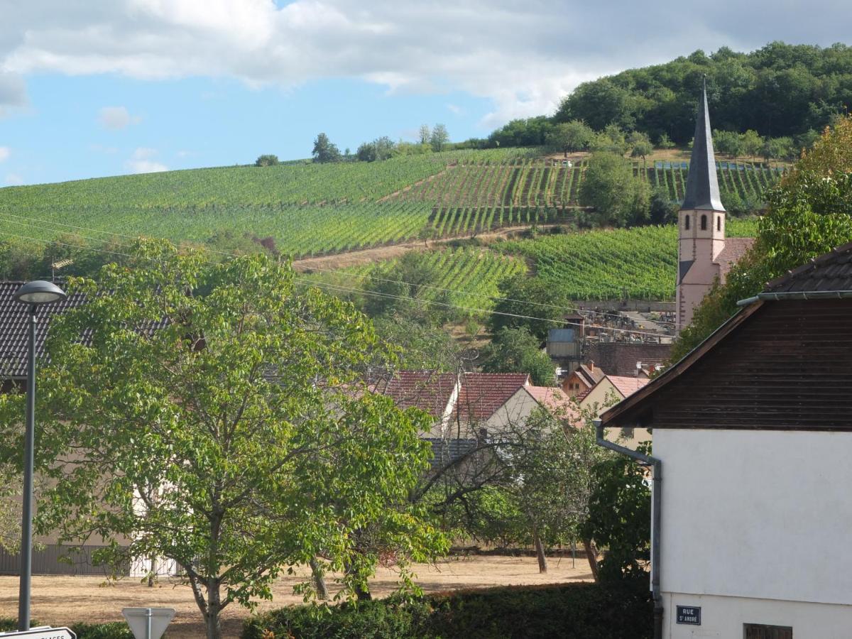 Zinck Hôtel Andlau-au-Val Buitenkant foto