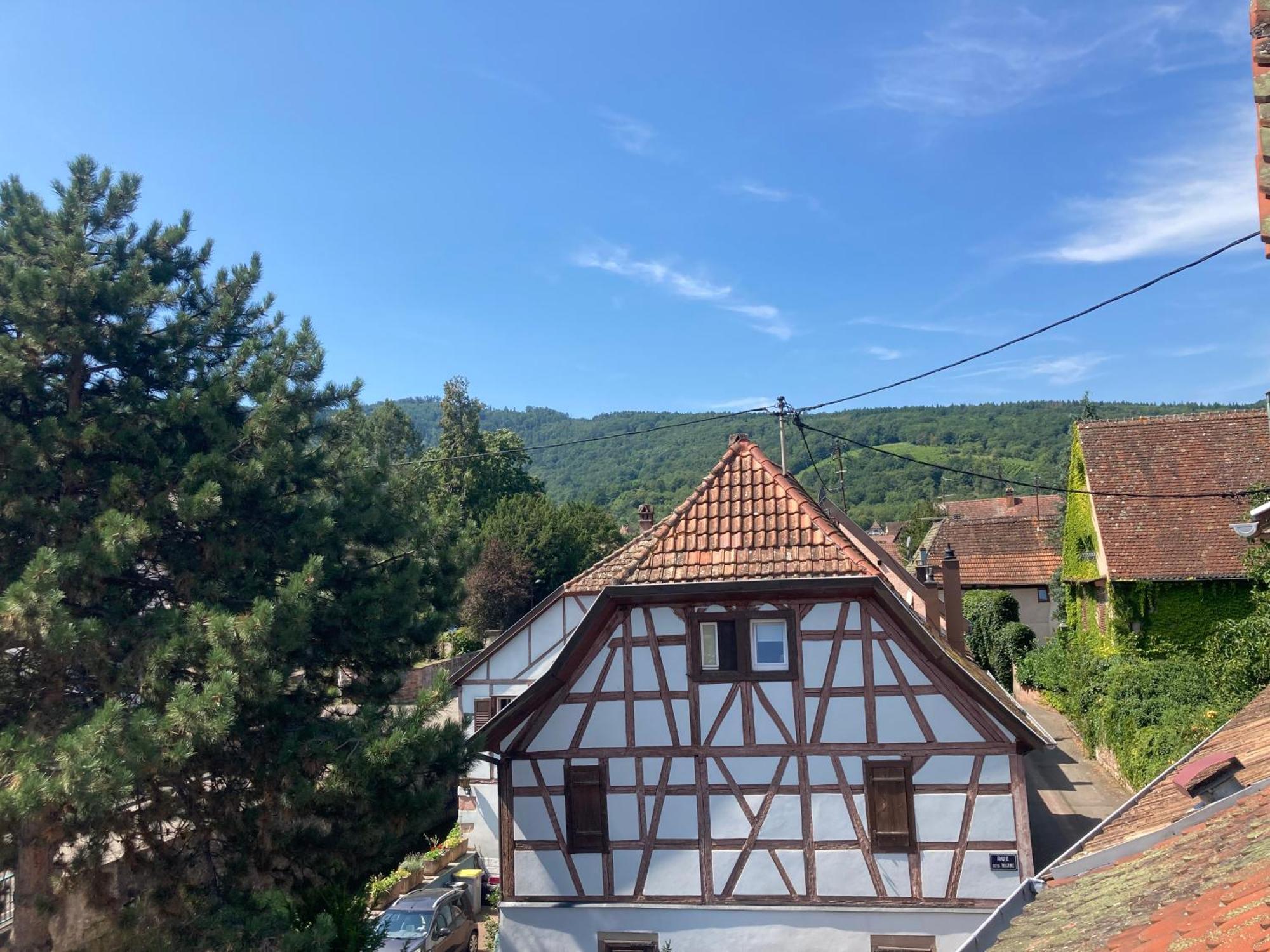 Zinck Hôtel Andlau-au-Val Buitenkant foto