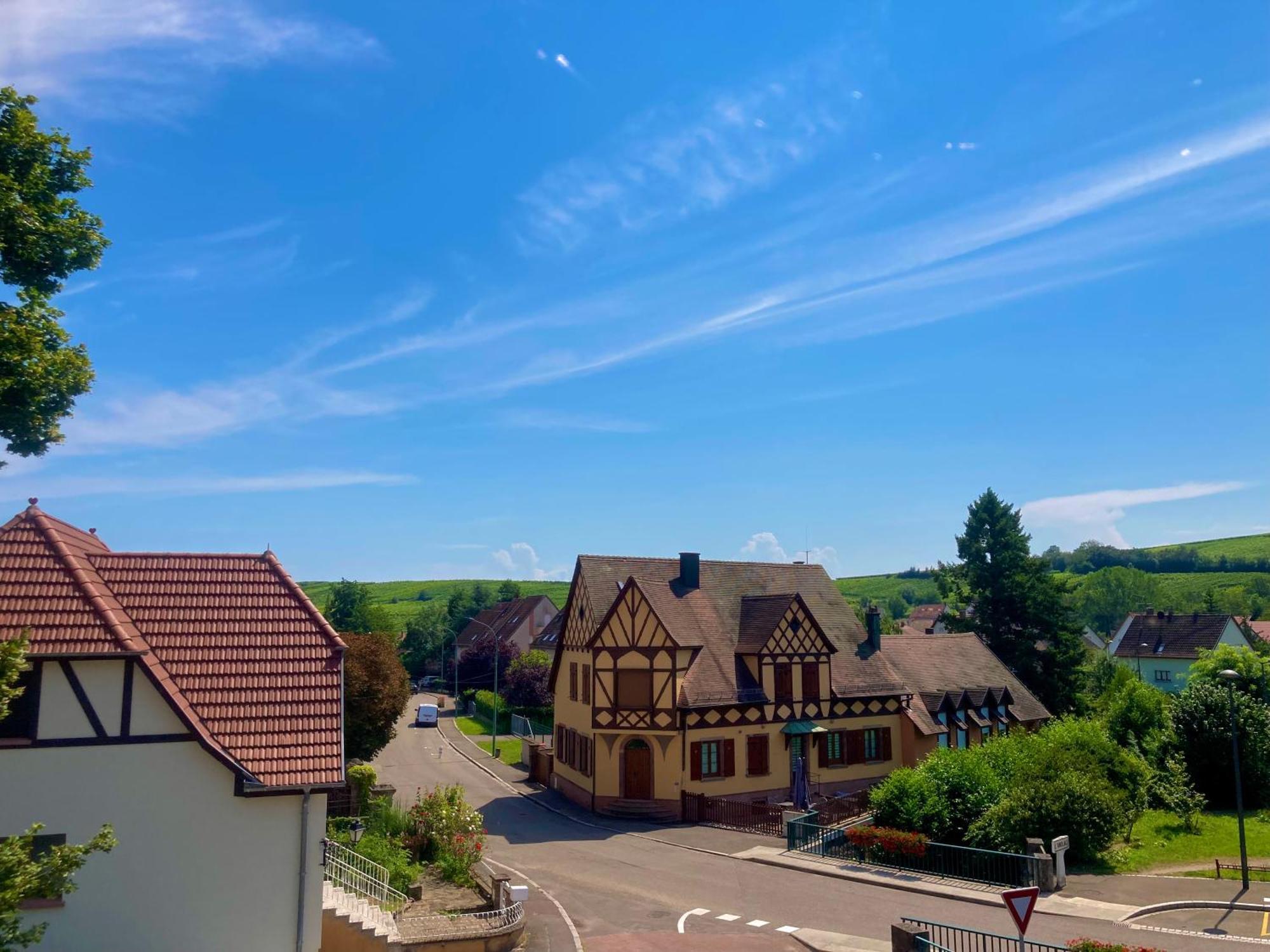 Zinck Hôtel Andlau-au-Val Buitenkant foto